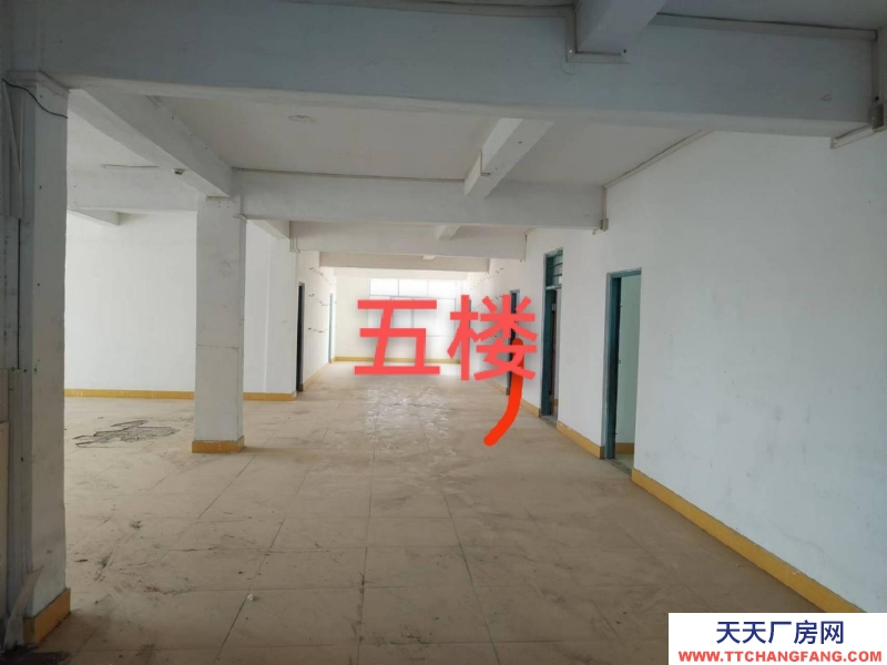 (出租) 汕尾城區可做倉庫辦公樓