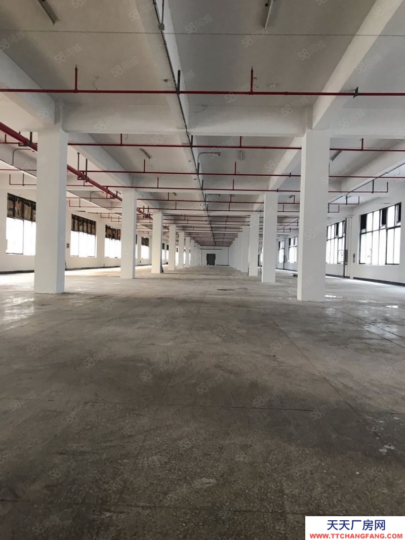 金華市金東(出租) 鞋塘新建獨(dú)棟廠房一樓6000平帶裝卸貨平臺無稅收要求