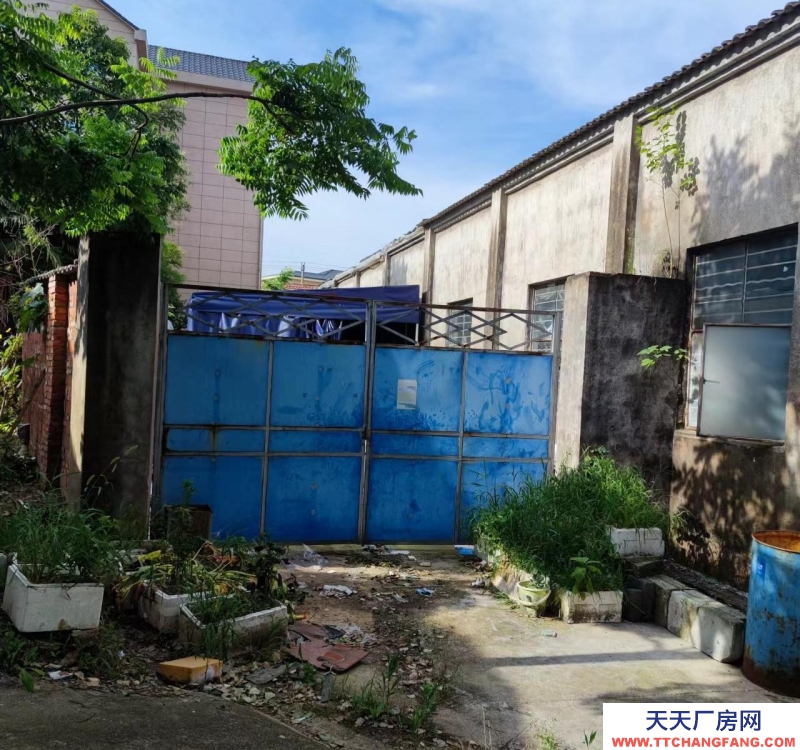 金華市金東(出租) 出租沿路330國道和二環線交匯處廠房400平