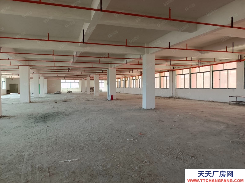 (出租) 汕尾城區(qū)標(biāo)準(zhǔn)廠房建筑物2萬平方，食堂，宿舍，總場地9萬平方可做學(xué)校、物流