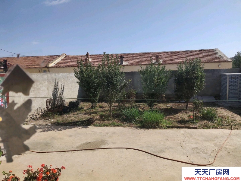 (出售) 回民可該養(yǎng)殖場精裝修平房，位置好，房已確權(quán)，