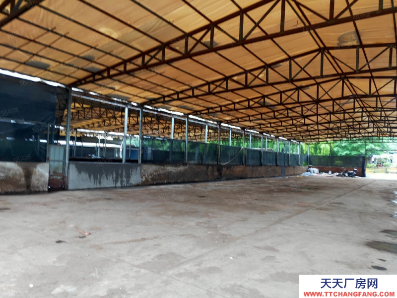 金華市金東(出租) 出租上海財經大學大學旁倉庫，出入方便