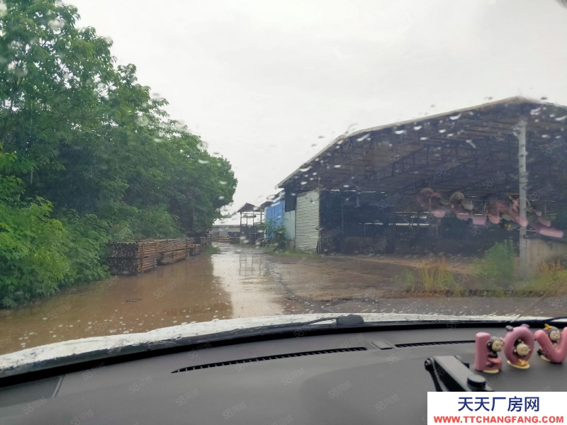 金華市金東(出租) 出租上海財經大學大學旁倉庫，出入方便
