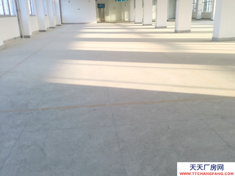 (出租) 汕尾城區東涌附近廠房3000平方一層1100平可分層租，可做培訓機構