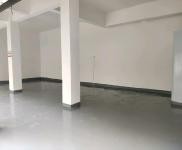 (出租) 周口鄲城房子在鄲城縣工業集聚區汽車東站