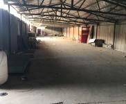 (出租) 周口淮陽區(qū)四通鎮(zhèn)附近獨門獨院廠房