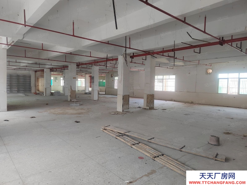 (出租) 汕尾海豐廠房出租 寫字樓招租可分租 帶貨梯 鋪面 大貨車可進入可做電商