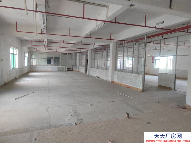 (出租) 汕尾海豐廠房出租 寫字樓招租可分租 帶貨梯 鋪面 大貨車可進入可做電商