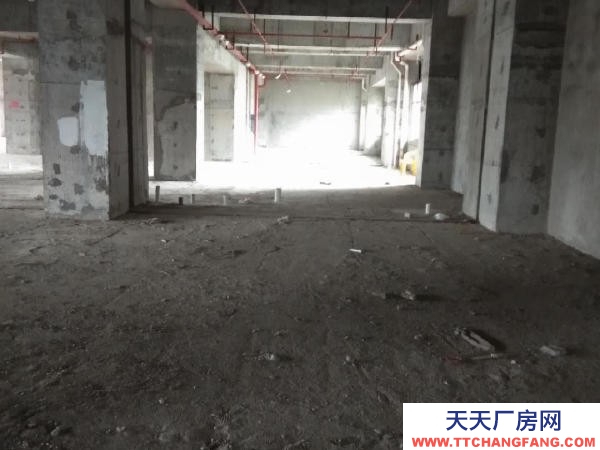 張家界市永定糕點廠房 市區金華苑臨街辦公寫字樓,整層可分割出租