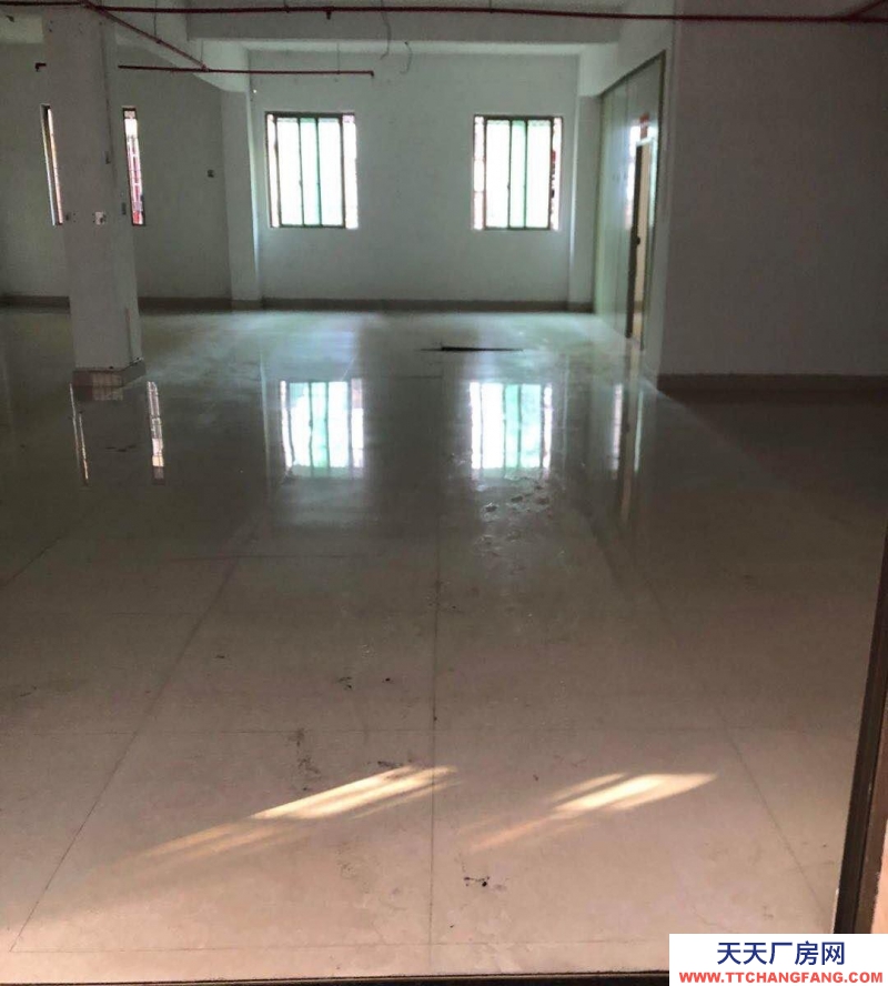 (出租) 汕尾海豐廠房出租 空間大環(huán)境好可做電商直播