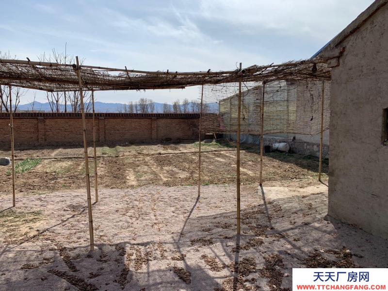 張家口 宣化  (出售) 張宣公路臨街炒貨食品及堅(jiān)果制品廠房出售