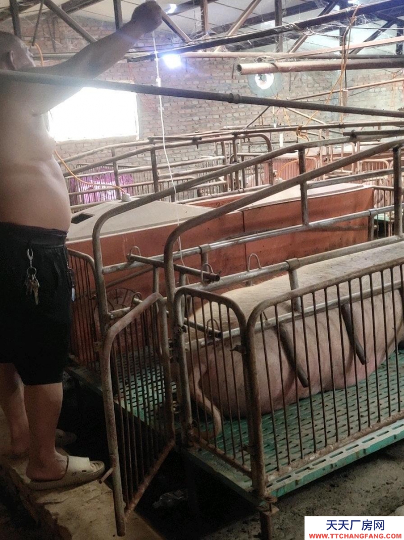 張家口 宣化  (出售) 這是一個豬廠，水電齊全