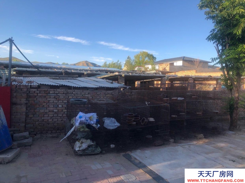 張家口 宣化  (出租) 急出租 獨門獨院適合休閑娛樂的農村小院