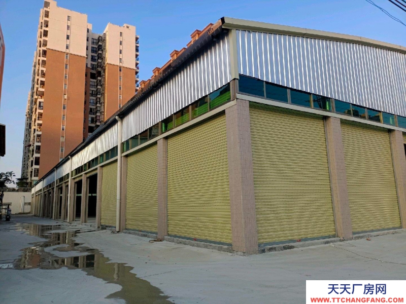 (出租) 汕尾海豐位于附城鎮鯉魚山工業區,交通方便。適合小型加工