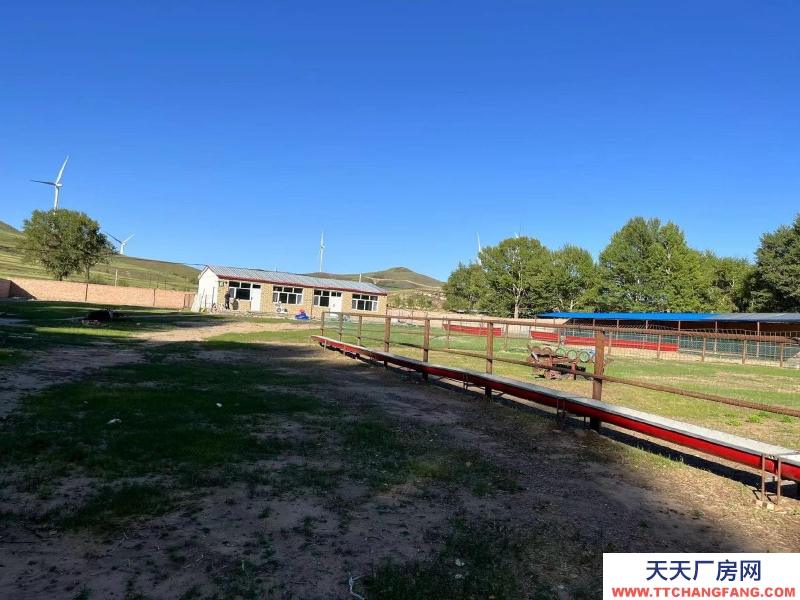 張家口 張北縣 (出租) 養殖場出租，離天路近