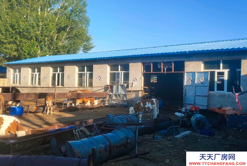 張家口 張北縣 (出租) 罐頭 廠房出租，緊鄰南山公園