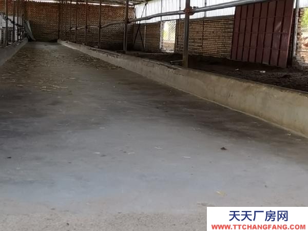 張家口 張北縣 (出售) 現有一處3畝大院出售，位置緊鄰張北縣城2.5公里萬人社區旁