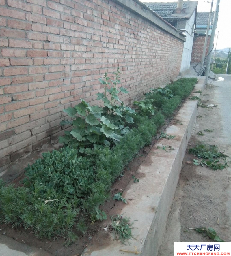 張家口 張北縣 (出售) 張北二臺鎮一畝大院，正房五間，有三相電