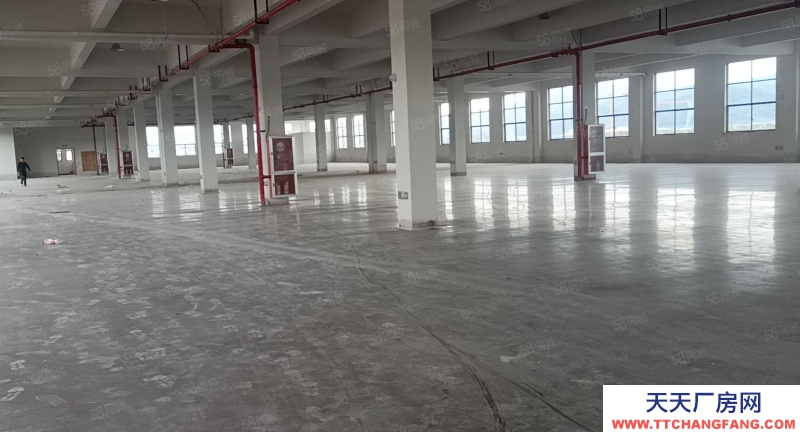 金華市武義(出租) 冷水坑標準廠房一樓800樓上4600平，出入方便，廠房全新，五金加工 機械制造