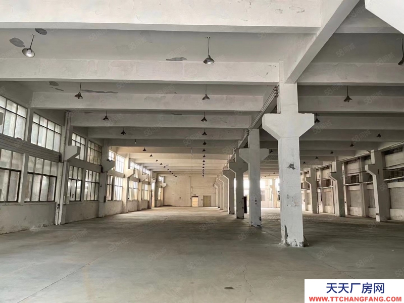 金華市武義(出租) 武義泉溪出租廠房一樓12000平方已經騰空馬上交付使用珠寶加工 倉儲 充電樁