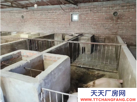 (出租) 和林城關(guān)鎮(zhèn)大南溝村3000平米豬舍出租 可出售