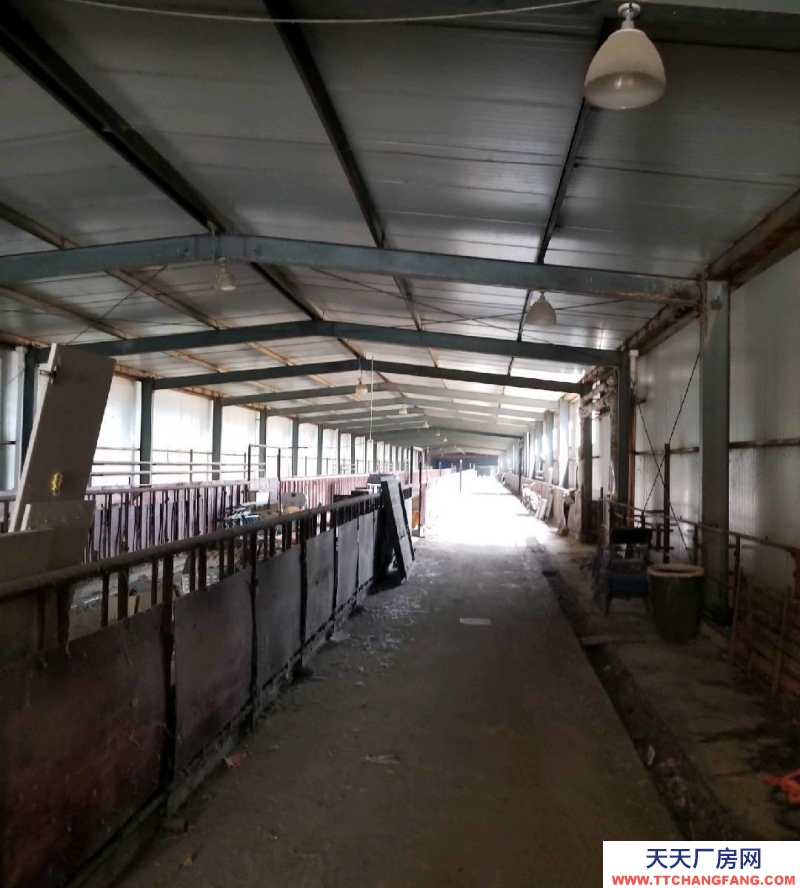 (出租) 和林格爾乳都大型養(yǎng)殖場(chǎng)地出租，合作