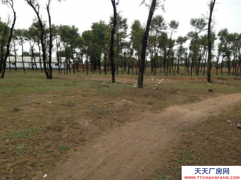 (出售) 土默特左旗沙爾營鄉(xiāng)新圪力圪太村廠房養(yǎng)殖場