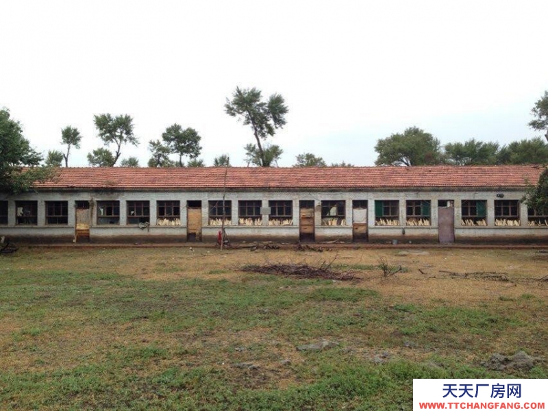 (出售) 土默特左旗沙爾營(yíng)鄉(xiāng)新圪力圪太村廠房養(yǎng)殖場(chǎng)