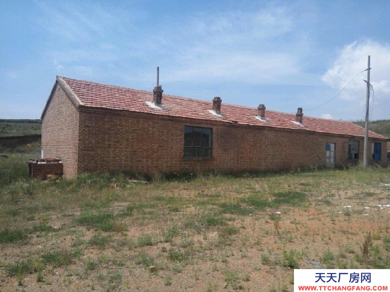 (出售) 武川 武川開發區 倉庫 9900平米