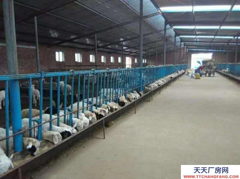 (出售) 武川出售(合作)一處廠房 可養殖豬牛羊家禽等 交通便利 設施齊全