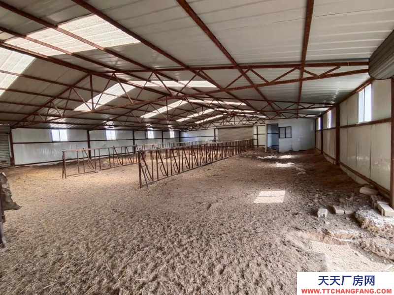 (出售) 武川養(yǎng)殖場適合各種養(yǎng)殖，。