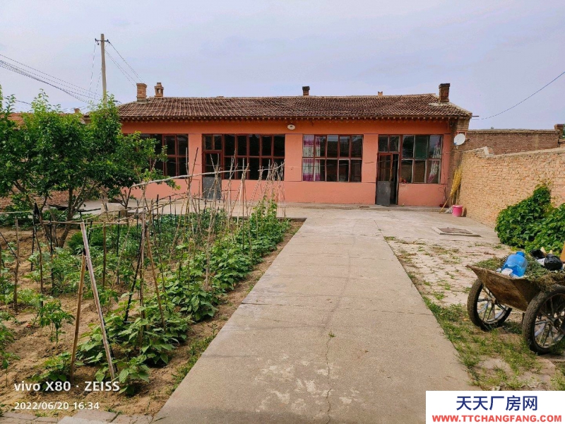 (出租) 托克托位于沙圪洞獨院出租 可做食品廠房