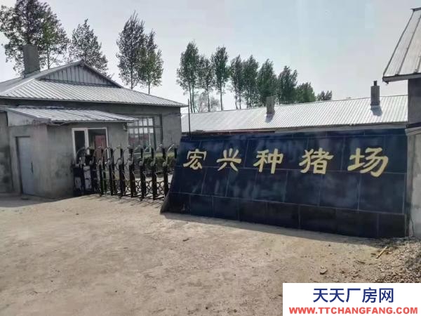 巴彥豬場基礎(chǔ)設(shè)施良好，可直接進場