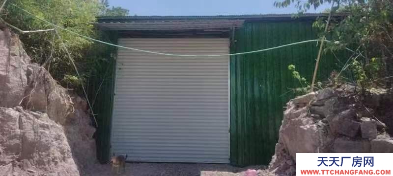 金華市武義(出租) 獨立倉庫交通便利臨近城區