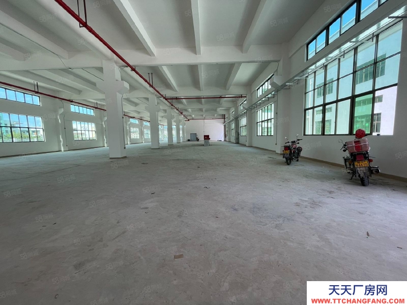 (出租) 河源源城區埔前鎮工業園,新建獨棟廠房分層出租,可辦環評適合設備制造