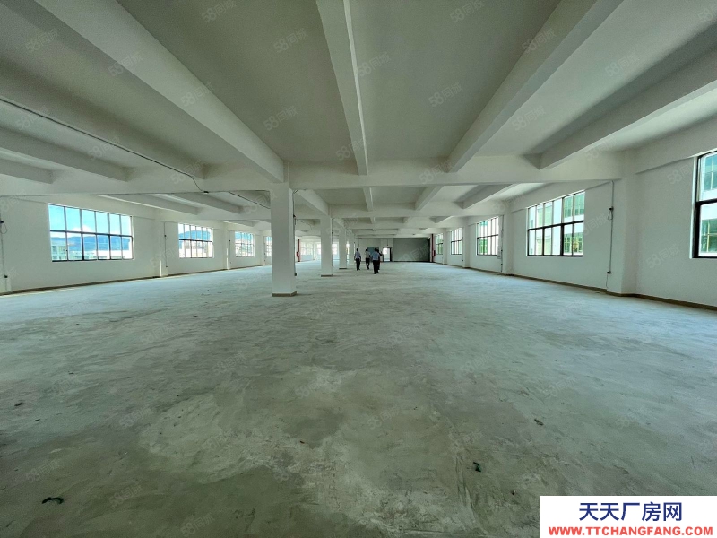(出租) 河源源城區埔前鎮工業園,新建獨棟廠房分層出租,可辦環評適合設備制造