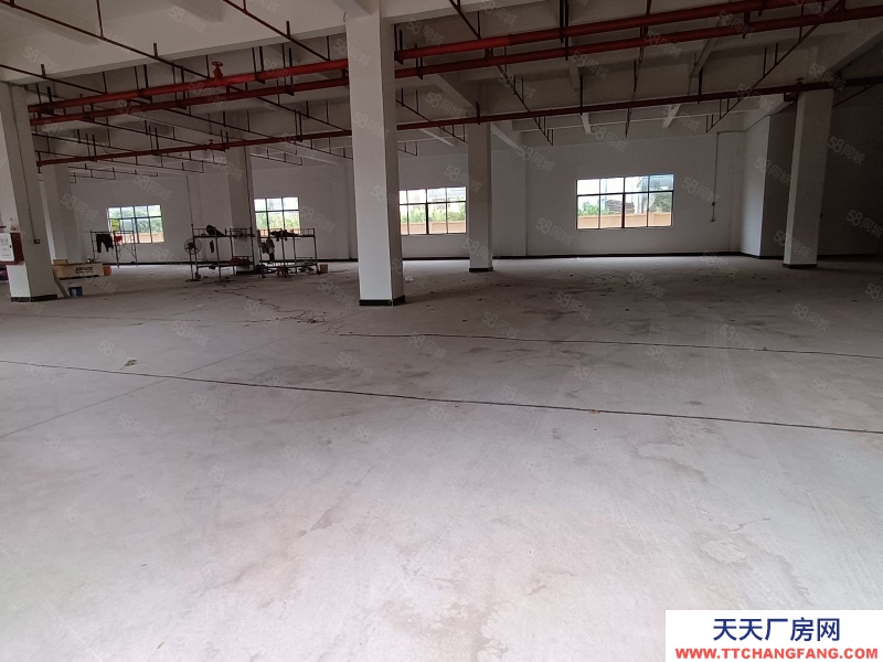 (出租) 河源市源城東源縣徐洞工業(yè)園獨院廠房出租適合預(yù)制菜加工