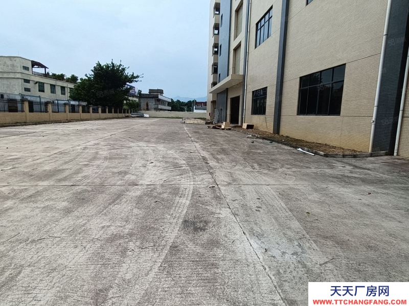 (出租) 河源市源城東源縣徐洞工業園獨院廠房出租適合預制菜加工