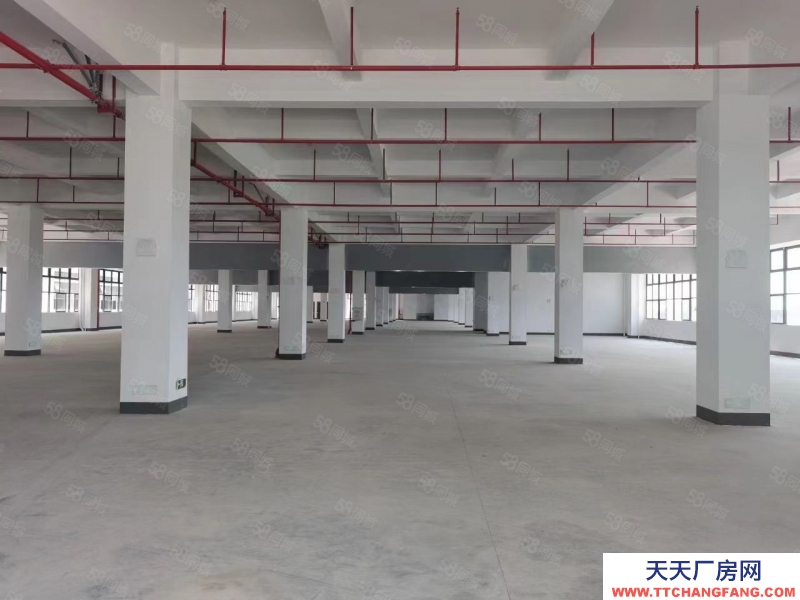 (出租) 河源市源城新建獨院廠房共三萬平方，可分租，有現成辦公樓可做膨化食品