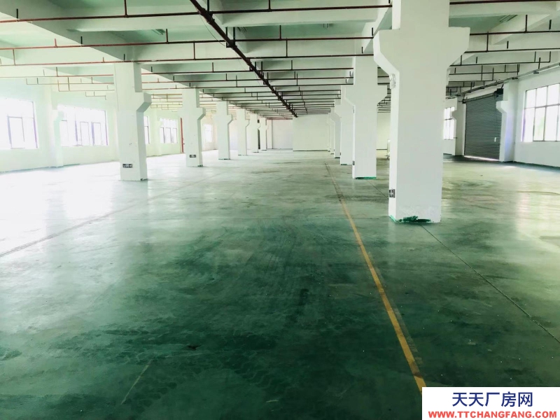 (出租) 河源市源城區(qū)3000平方米廠房可做發(fā)酵制品