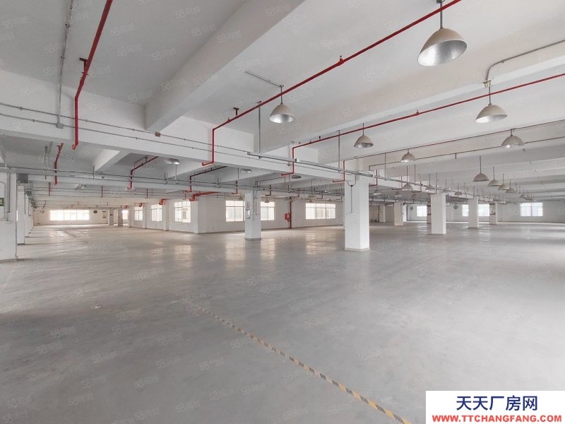 (出租) 河源源城整層2000平方廠房出租，獨門獨院可做食品添加劑行業(yè)