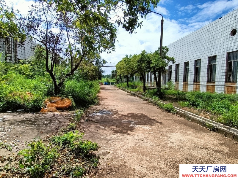 (出租) 河源市東源縣原房東獨門獨院廠房招租可分租適合其他乳制品類