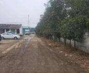 (出租) 周口項城手續(xù)齊全，建設用地，自建廠房。