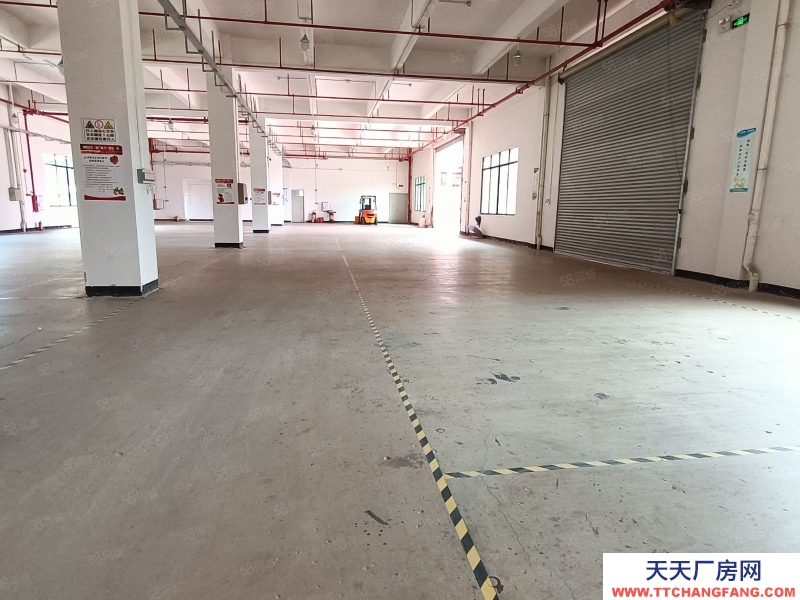 (出租) 河源市源城江東新區原房東標準廠房招租可做干制果蔬類