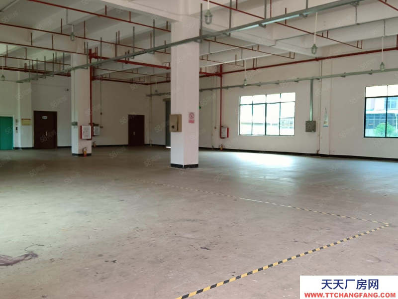 (出租) 河源市源城江東新區原房東標準廠房招租可做干制果蔬類