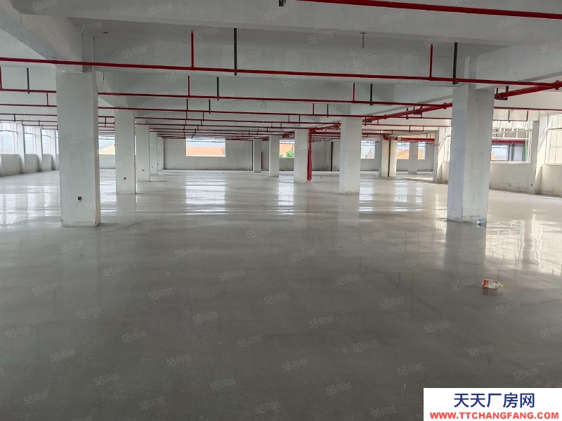 金華市浦江(出租) 黃宅全新2100平，可做輕污染行業