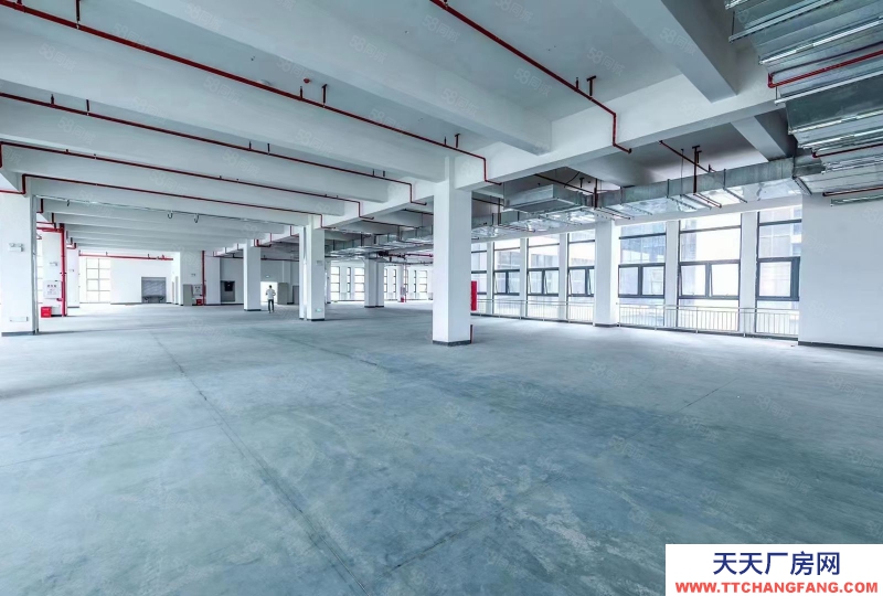 (出租) 河源源城無公攤面積,標準廠房5000平米可做方便食品制造行業