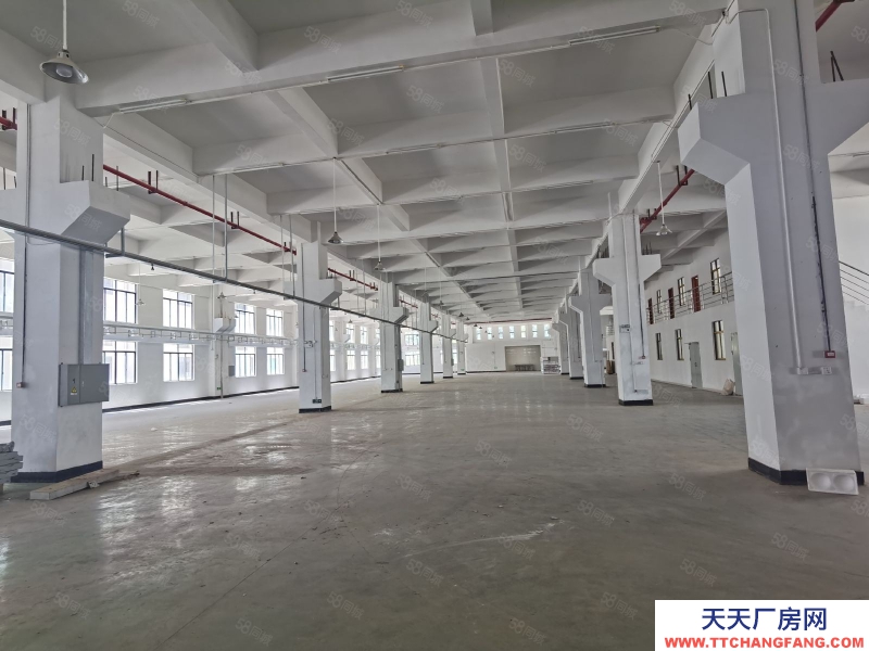 (出租) 河源源城區(qū)高新五路原房東獨院出租23000平方可分租生產(chǎn)倉庫均可做谷物膨化類