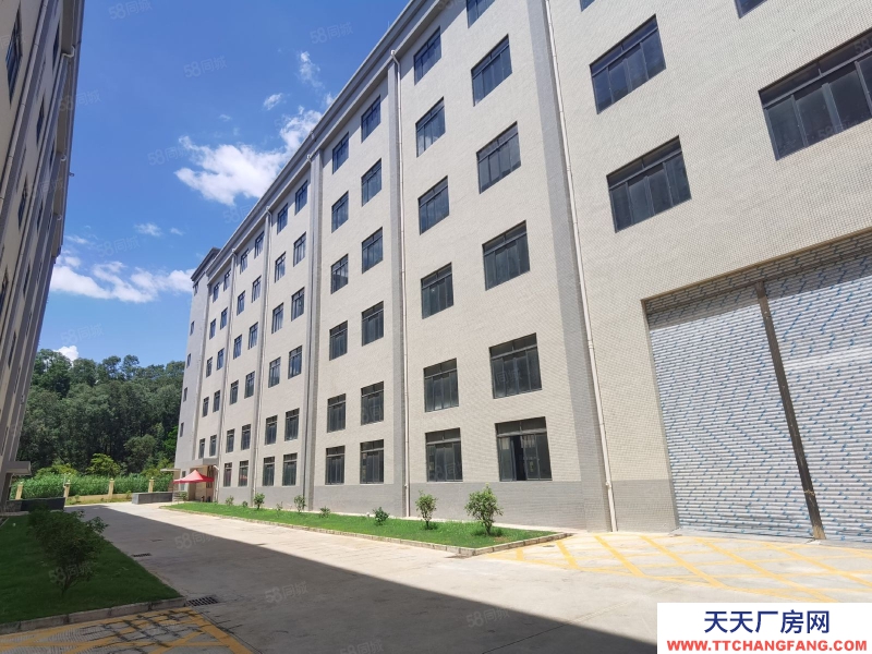 (出租) 河源源城區高新五路原房東獨院出租23000平方可分租生產倉庫均可做谷物膨化類