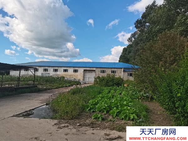 哈爾濱雙城區(qū)標(biāo)準(zhǔn)家具廠房出租